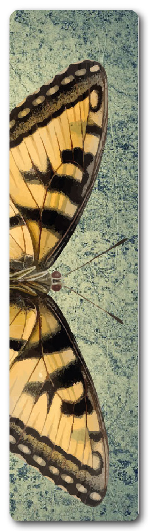 MARIPOSAS 7
