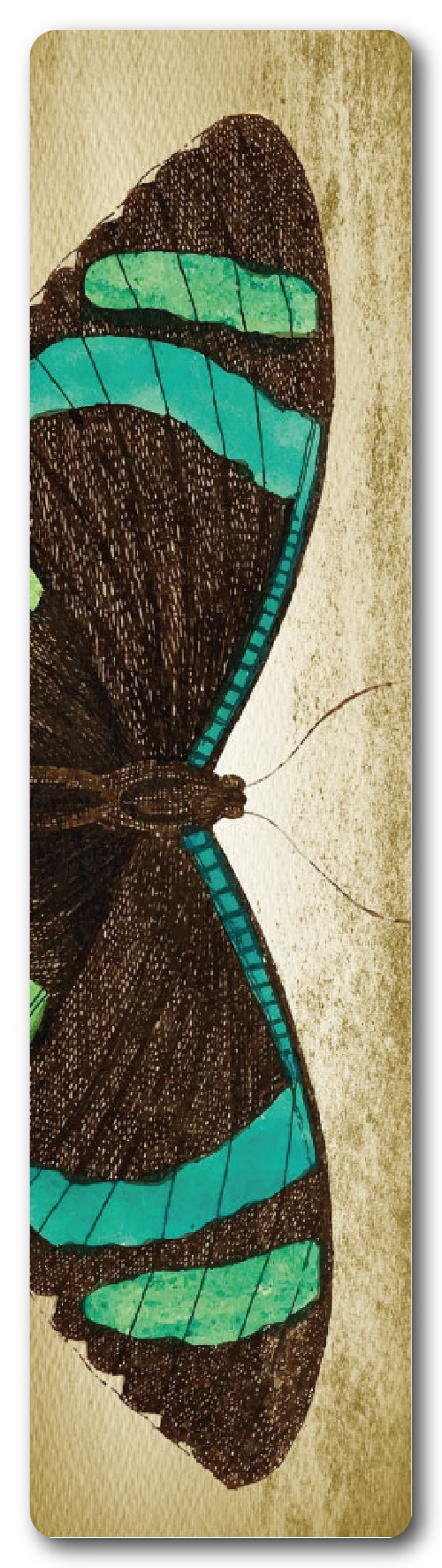 MARIPOSAS 3
