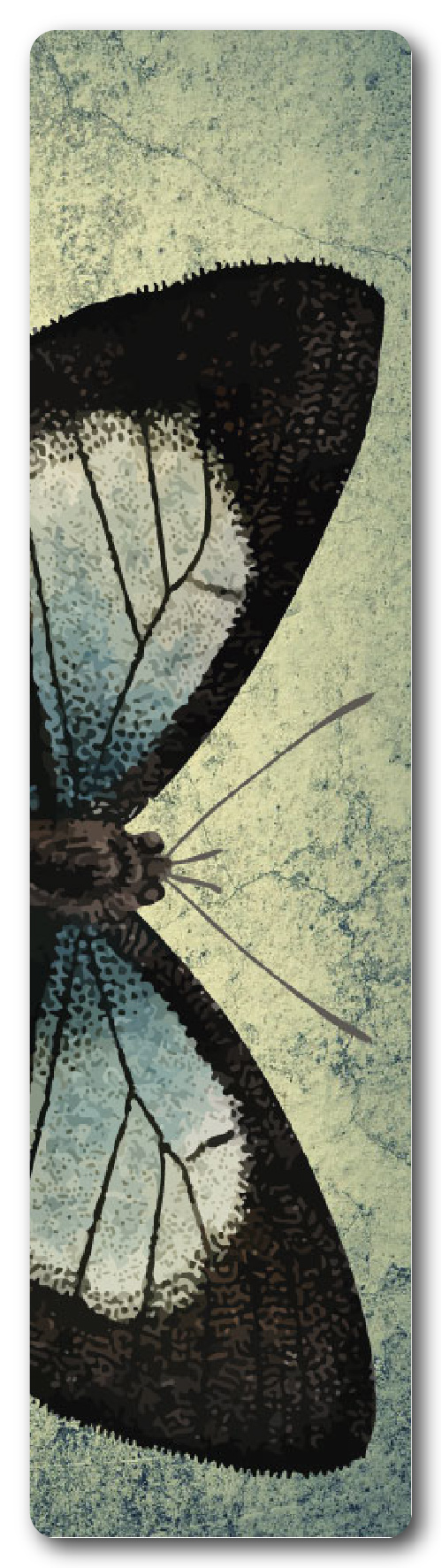 MARIPOSAS 2